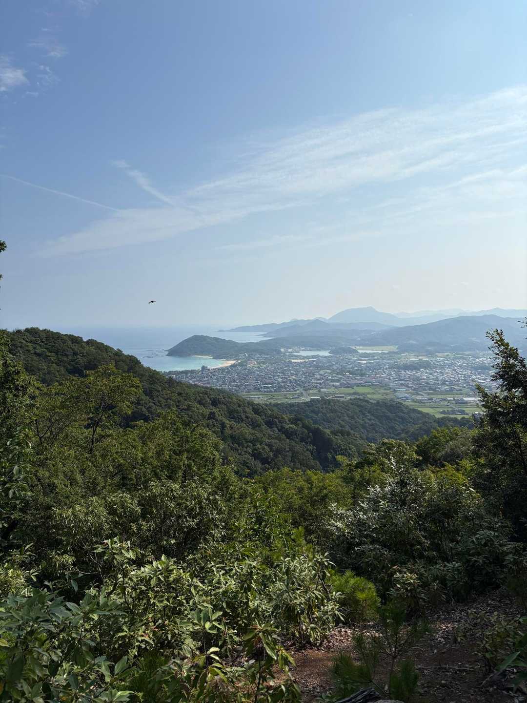 稜線に出た