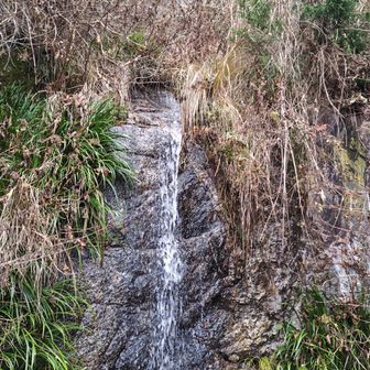 奈々久良の滝
上から数段になって落ちてきてますが、そんな規模の大きな滝ではありません。こじんまりとしてます