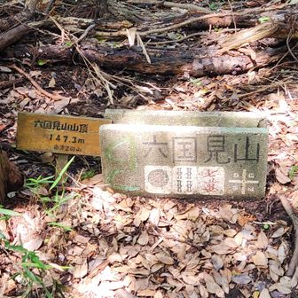 六国見山山頂です。かなり地味です。
見失いそうです。