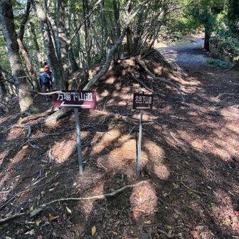 万場登山口へ下山