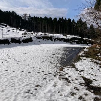 登り口の駐車スペースかな。