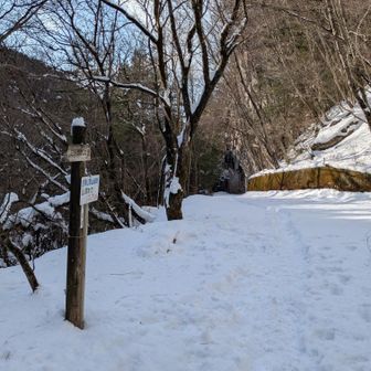登山口までは早かったが…