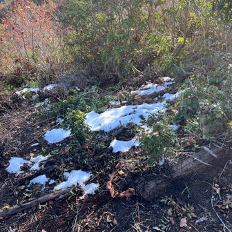 残雪は影に少しだけ