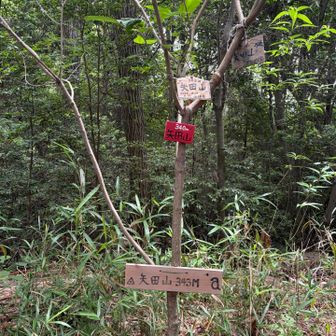 この辺に山頂あるはず…
ちゃっかり迷って蜘蛛の巣🕸️まみれになりながら😂
やっとこ🪧発見！
340m？343m？？どっちなーん

去年も来たのに　認知症すぎる😆