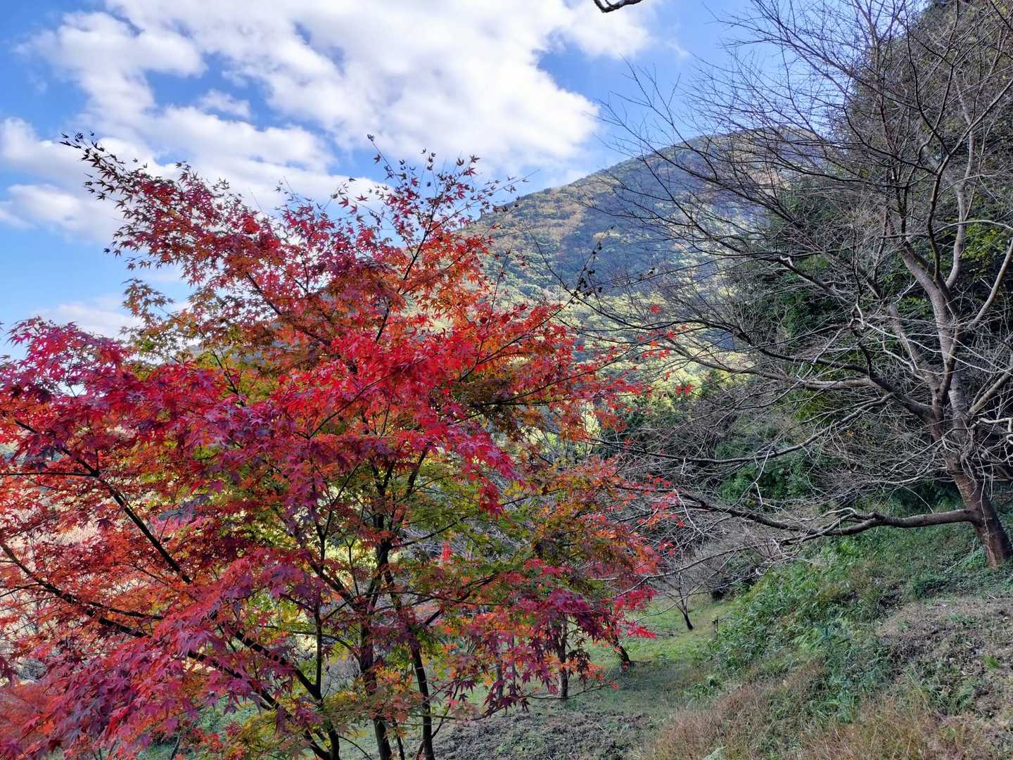 青空と紅葉と三ノ岳✨
残すは障子ケ岳！味見峠桜公園駐車場へ移動します💨