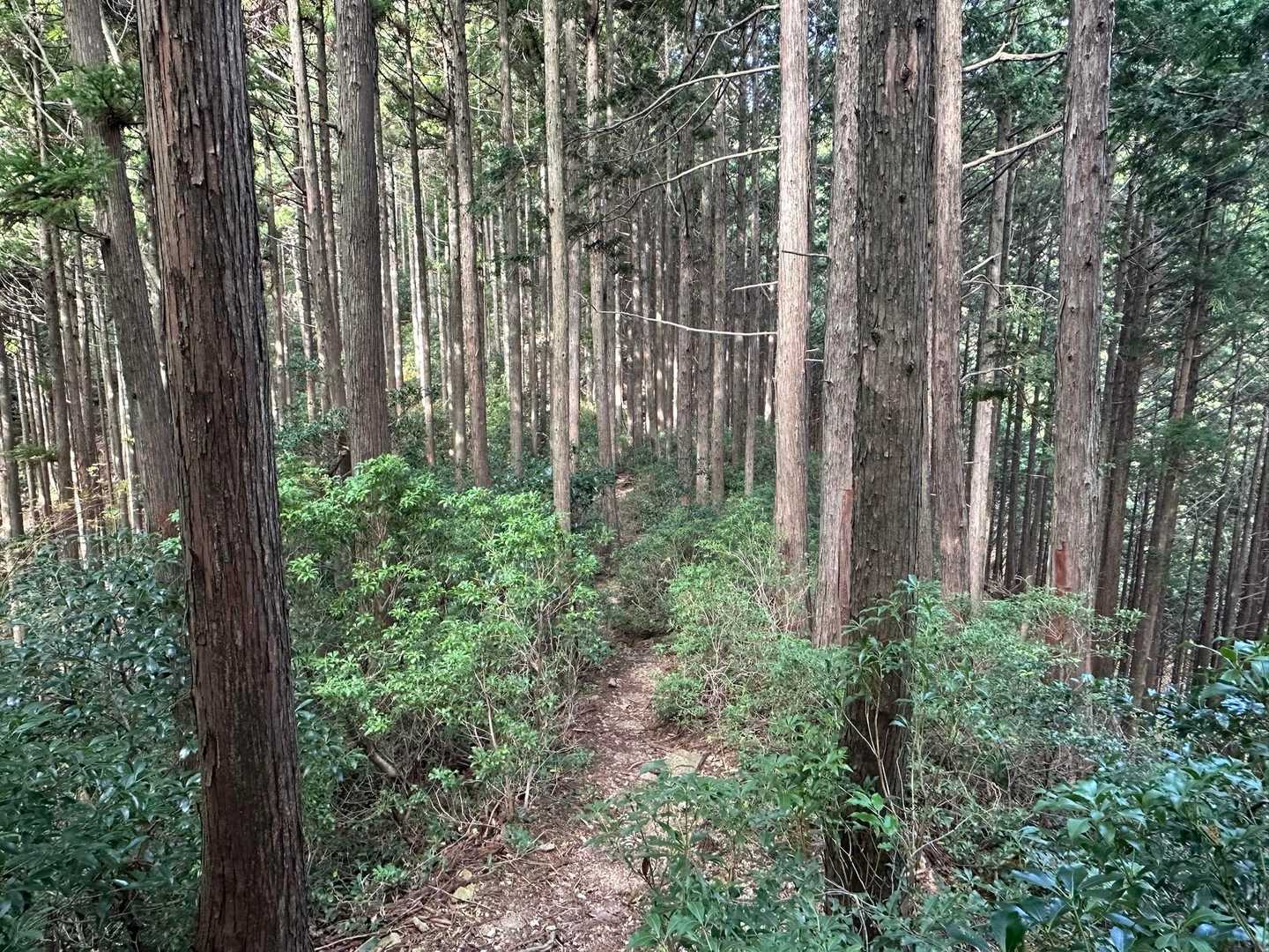 平和な道😙〜🎵
