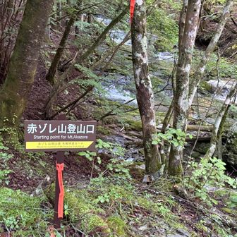 赤ゾレ山は右へ