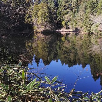 ちょっと登って三国池(行き止まり)