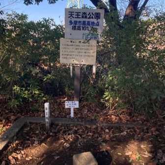 天王森の山🩶161m
多摩市最高地点😆