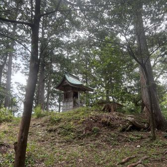 山頂神社⛩️にお参りしました。
朝🍙おにぎり食べた時コーヒーも飲んだから糖質がエネルギーに変わらずシャリバテだったんじゃないか❓とかバテた原因を考察しました🥹