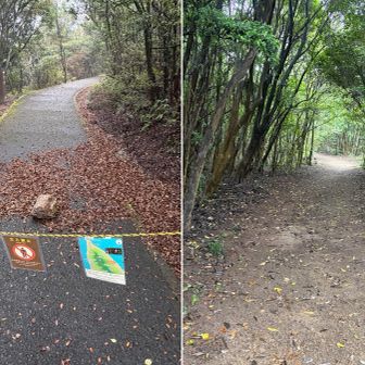 遊歩道が通行止…山径を迂回