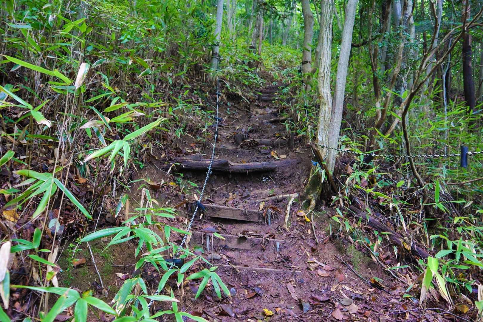 あっしの苦手な階段😢