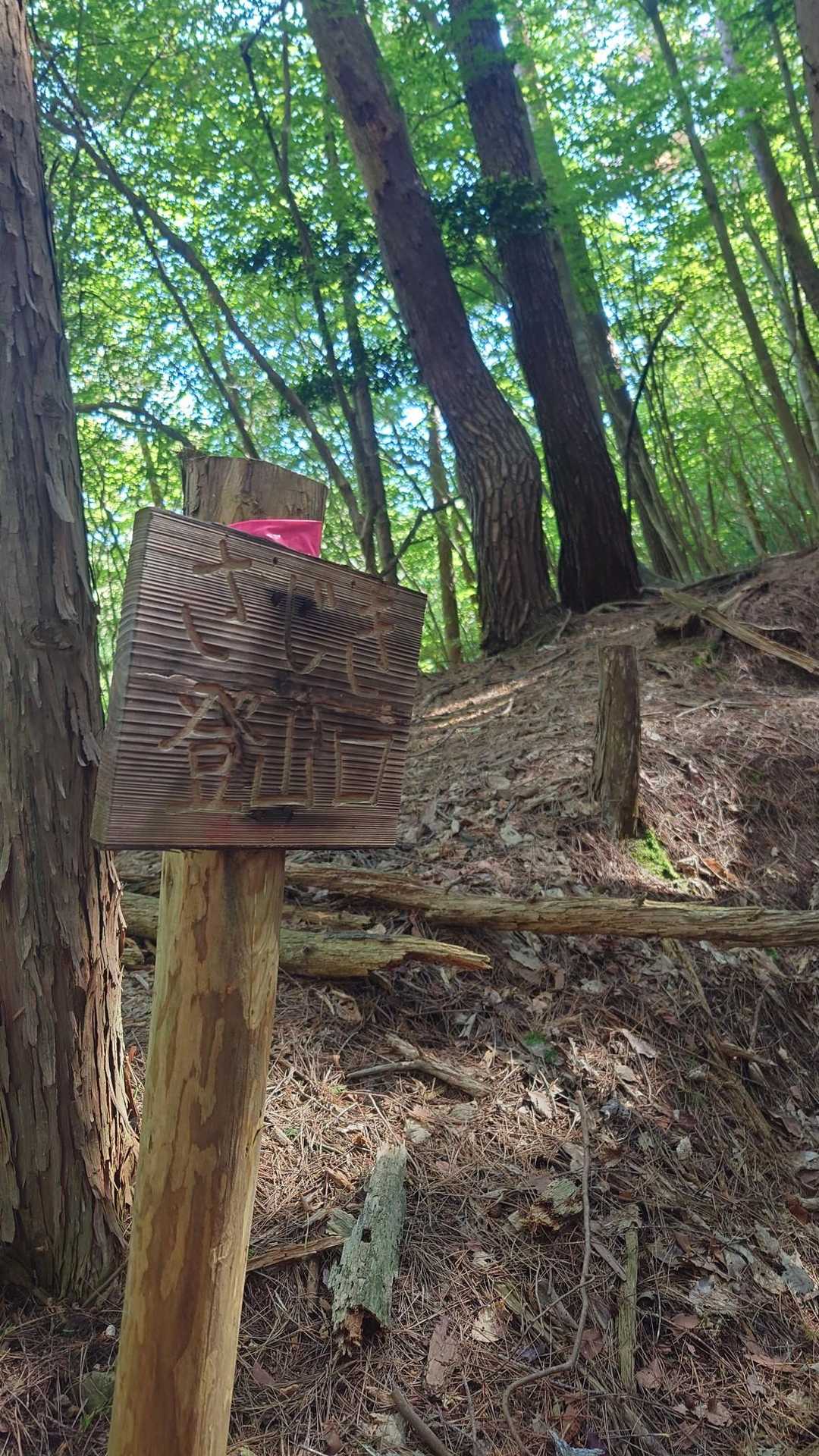 さじき登山口🪧