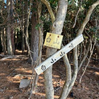 おしゃべりしてたら着いてた