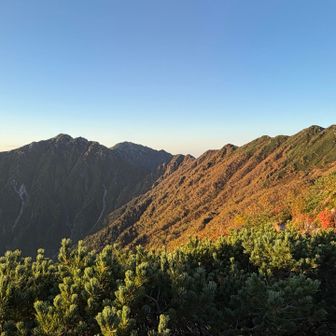 朝日に照らされた紅葉