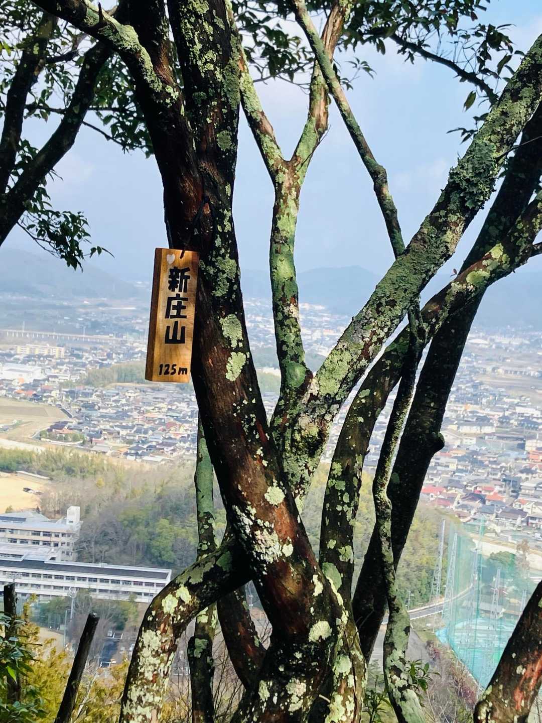 新庄山登り口-高尾山-大山-シャシャ木山登り口 周回コースの写真