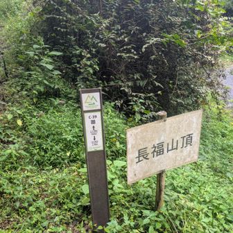 ここから長い急登が始まる🫨