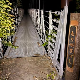 知らん間に新しく吊り橋が出来てました。