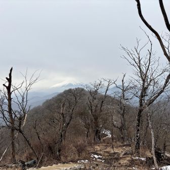 大室山・畦ヶ丸・菰釣山 見えたよ🗻肉眼だともっと迫力ある
