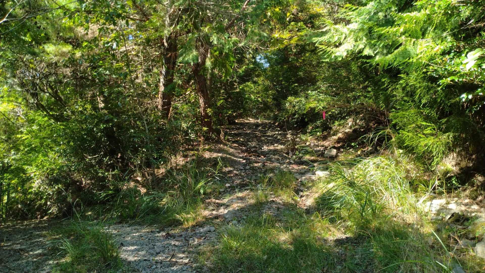 ここは右側の道路を進みます。