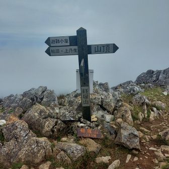 帰りにひと山寄って
いつもの落合に降りるヌルヌルのルートから下山。
途中、姉御が暴走して
先行グループに突進!
ぶつかることは無かったけど
端に避けていただくハプニング💦
お騒がせしました🤣