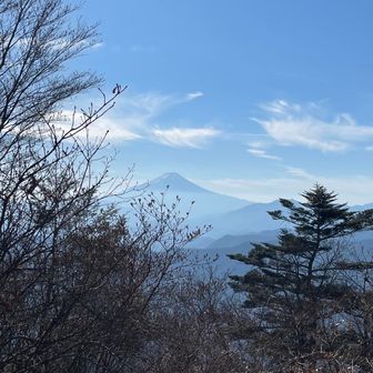 ひゅうが