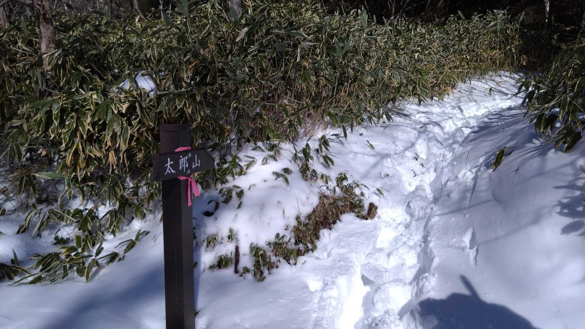 流石に下山は速い…