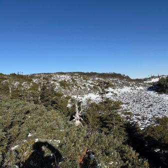 天狗の奥庭
ここは、迷いやすいです。