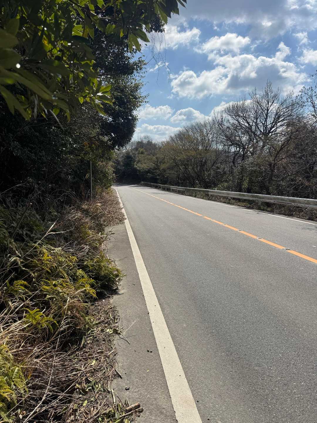 一度本気の車道に出ます。
しかもここに出る直前、若干道は不明瞭。車道が近いのは音やチラッと見えるのでわかってましたが、割と突然道な感じです。
しかもトラックとか車とかビュンビュン通るので危険。気をつけましょう👊