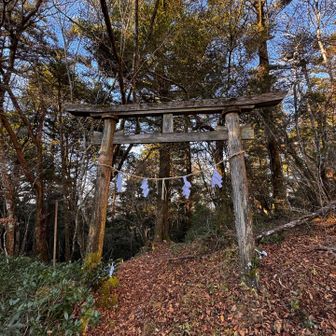 お参り
綺麗にされている