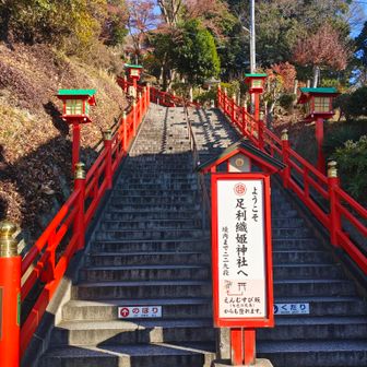 ワクワクの為か、いつもより背中が軽く感じます