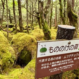 ↑です