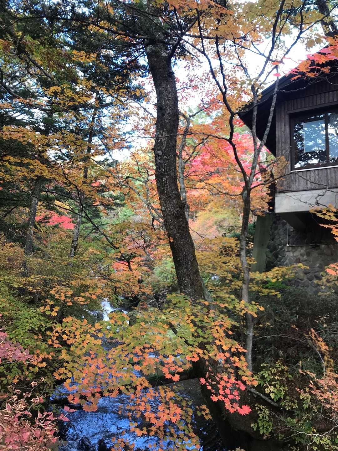 龍頭の滝、下から見たところ。