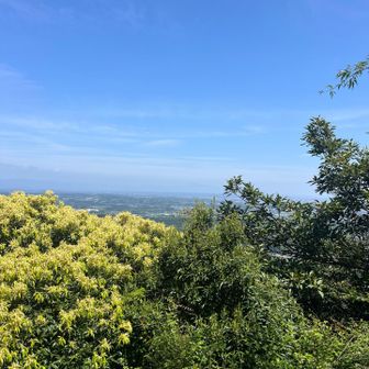 天気☀️いいけど、モヤ？ガスがあります。
