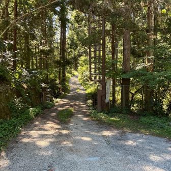 金剛山伏見峠から入山して、久留米峠からダイトレに入ろうと思ったけど、
通行止めらしいので、
歩いた事のないところからスタート。