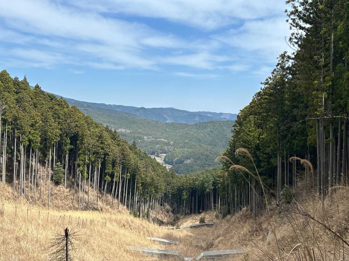 伊勢地出張所前バス停-石名原登山道入口-笹峠-学能堂山-杉 周回コースの写真