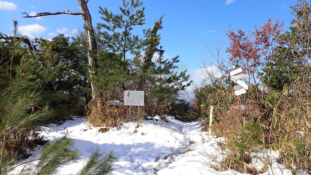 帰りは、来た道をピストンで。
母塚山の山頂。