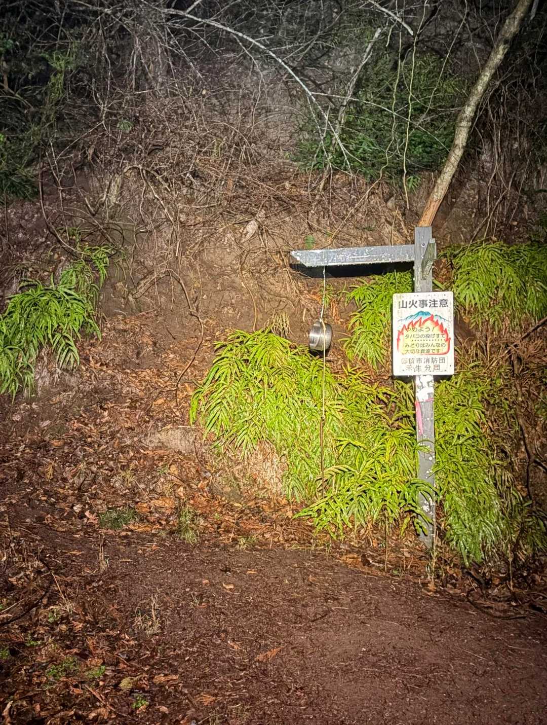 ここから登山道