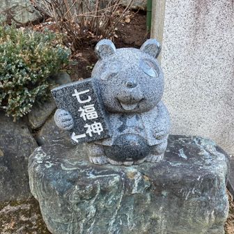 さらよし