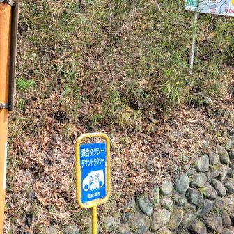 🦖脚２
水のことしか考えられない