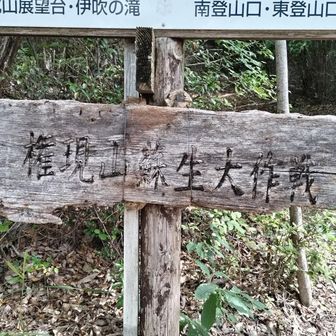 蘇生大作戦？！