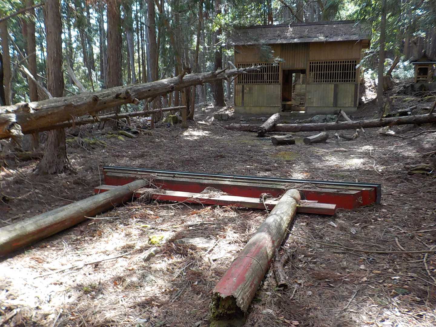 稱名寺-柚野山 周回コースの写真