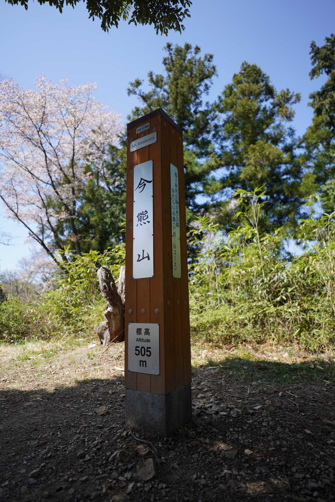 標高505m　