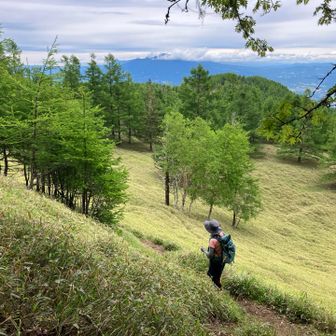 千頭星山らかの降り　広々して気持ちいい
お手入れ、ありがとうございます😊