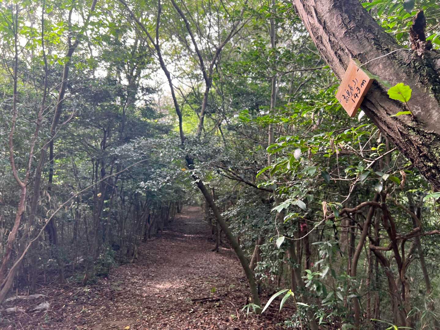 往路で見逃してしまった、高鳥屋山の山名標識