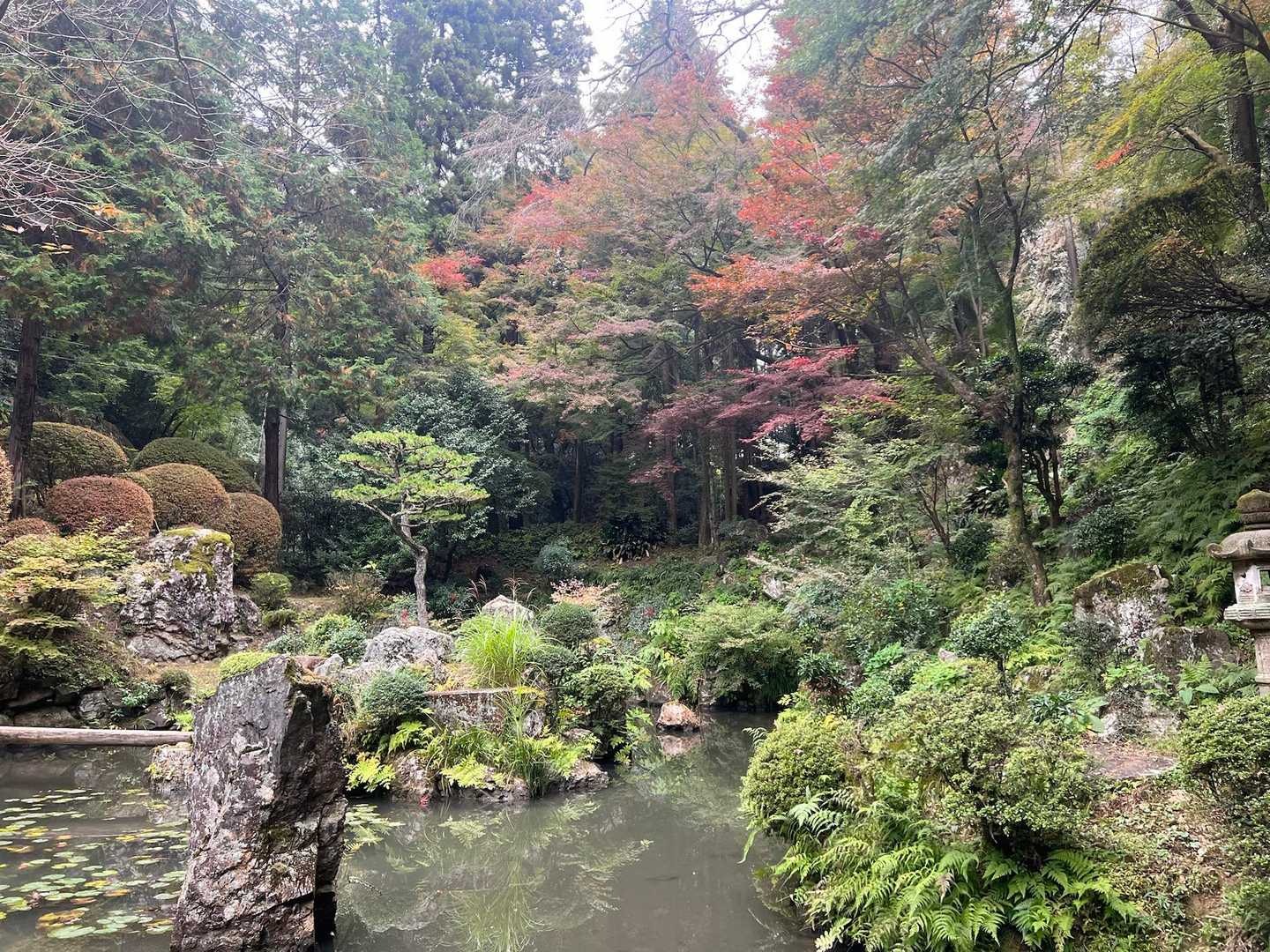 お庭の紅葉🍁
まだまだこれからかな？