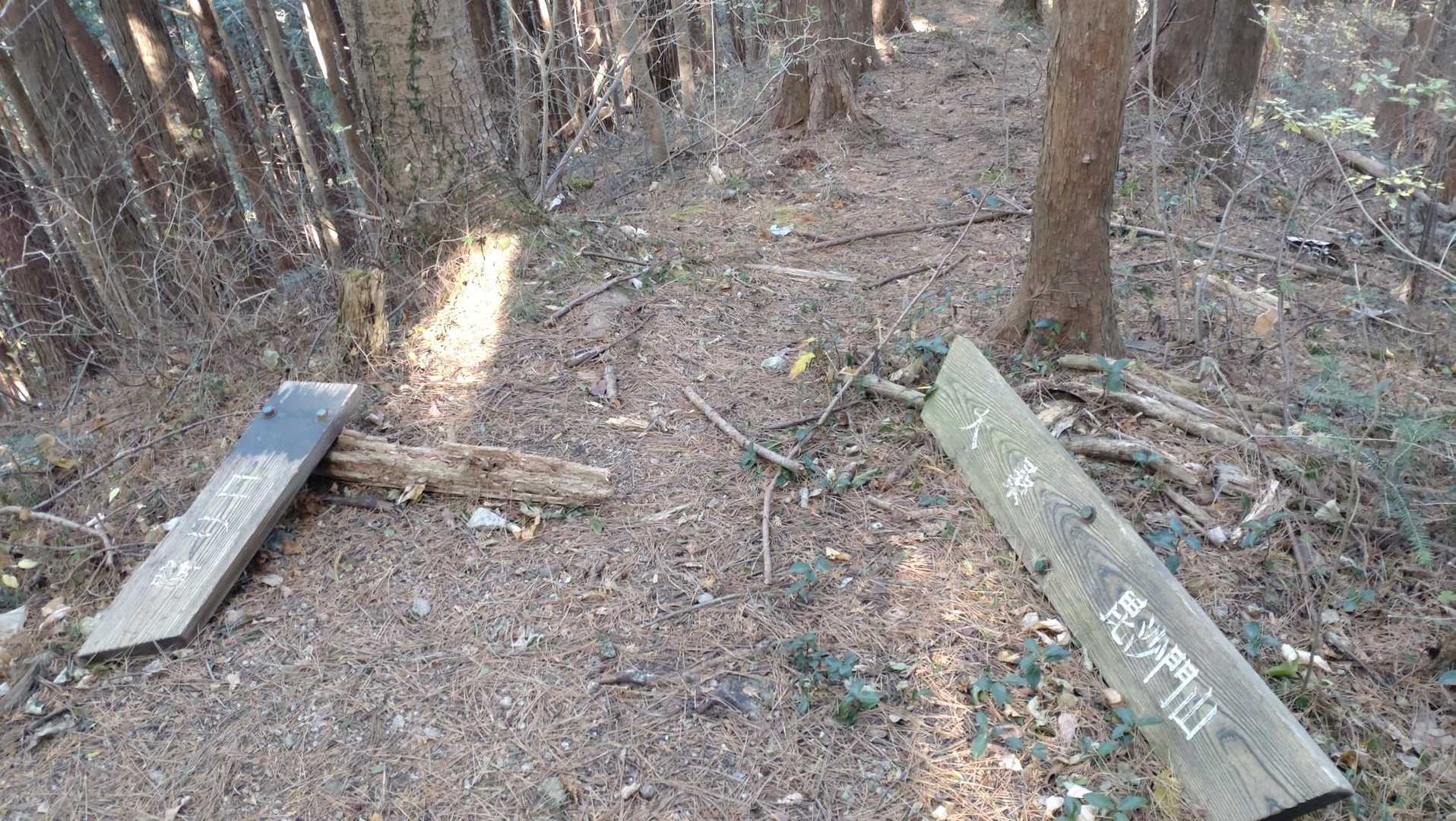 壊れてしまった道標。
方向は合っていました。