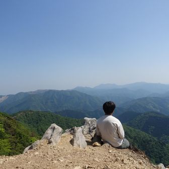智志