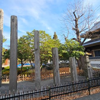 時を経て朽ちていく柱
9本あったので、ほぼ半世紀分ですね