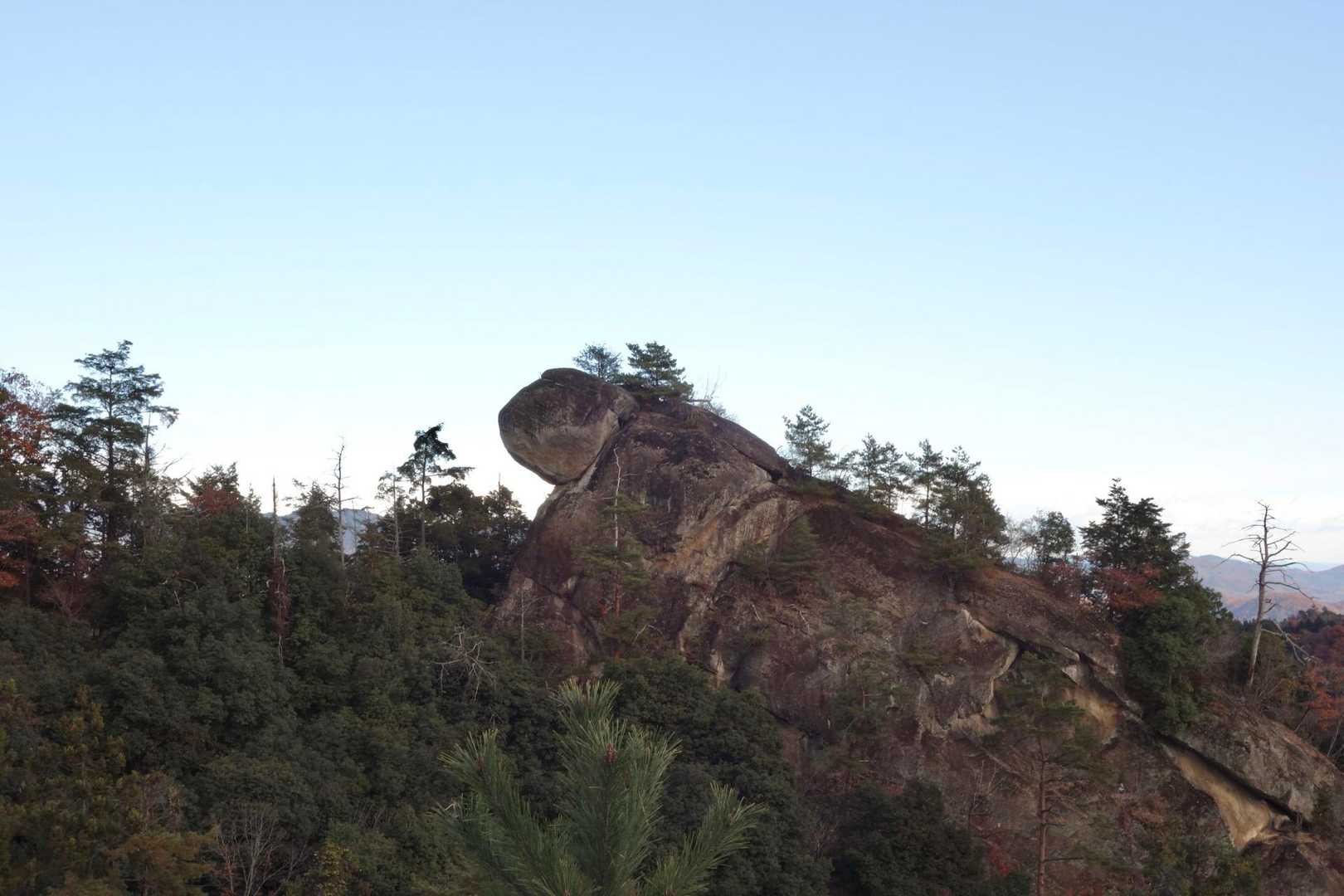 亀岩だって
確かに亀っぽい